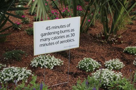 Be More Social, Garden Displays, Garden Center Displays, White Clematis, Greenhouse Design, Plant Watering System, Greenhouse Supplies, Property Ideas, Bell Gardens