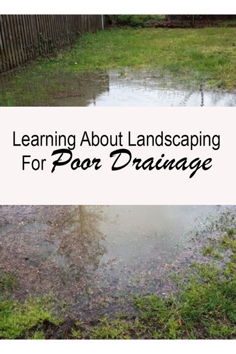 Drainage Trench Landscaping, Dry Riverbed Landscaping Backyards, Water Drainage Ideas Yards Diy, Backyard Water Runoff Ideas, Pool Overflow Drainage, Rip Rap Drainage Ditch, French Drain Ideas Landscapes, River Bed For Drainage, Dry River Bed Drainage