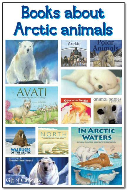 Polar Habitat, Arctic Habitat, Preschool Winter, Snow Animals, Penguins And Polar Bears, 12 Books, Polar Animals, Winter Books, Winter Preschool