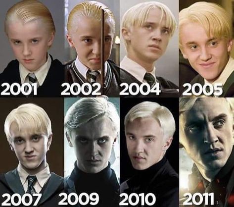 Meme Harry Potter, Albus Severus Potter, Citate Harry Potter, Draco Malfoy Imagines, Hogwarts Alumni, Draco Malfoy Aesthetic, Buku Harry Potter, Tom Felton Draco Malfoy, Images Harry Potter