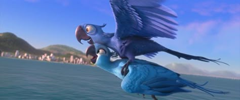 Guardians Of Ga'hoole, Rio 2011, Rio Movie, Jesse Eisenberg, Rodrigo Santoro, Blue Sky Studios, Leslie Mann, Childhood Movies, Fantasy Battle