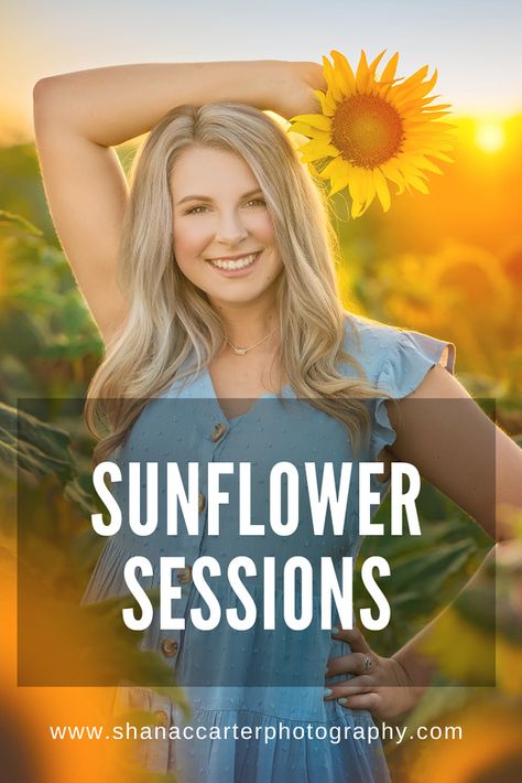 Portraits In Sunflower Field, Sunflower Photo Shoot Outfits, Pictures With Sunflowers Photo Ideas, Senior Pictures With Sunflowers, Sunflower Field Photoshoot Senior Pics, Senior Sunflower Photoshoot, Outfits For Sunflower Field Pictures, Sunflower Picture Outfit Ideas, Sunflower Field Outfit Ideas