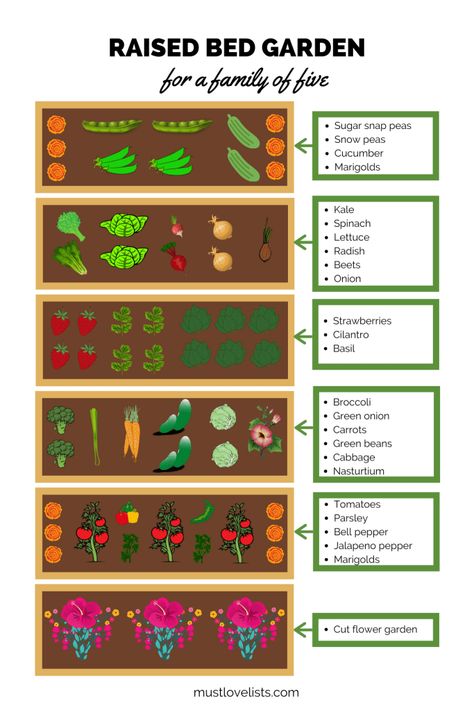 Garden Plot, Raised Garden Bed Plans, Raised Bed Garden, Vegetable Garden Raised Beds, Backyard Garden Layout, Garden Layout Vegetable, Vegetable Garden Planning, Vegetable Garden Diy, Diy Raised Garden