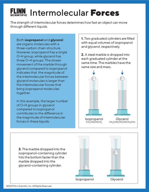 Explore Intermolecular Forces with this FREE infographic from Flinn Scientific #chemistry #chemistryweek #scienceteacher Intermolecular Forces Chemistry, Chemistry Infographic, Intermolecular Forces, Chemistry Activities, Graduated Cylinders, Graduated Cylinder, Chemistry Education, Organic Molecules, Chemistry Labs