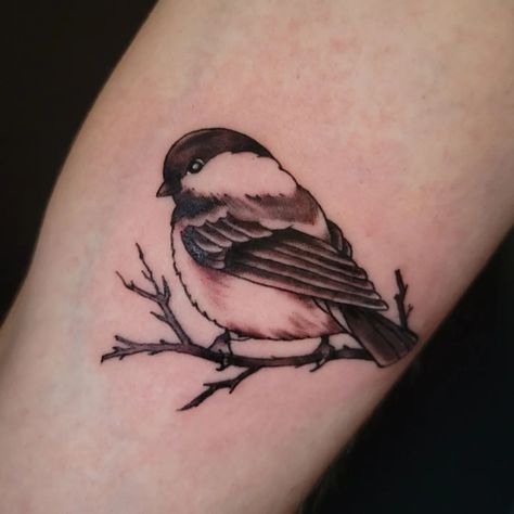 Black Capped Chickadee Tattoo, Chickadee Tattoo, Spirit Drawing, Mama Tried, Chickadee Bird, Black Capped Chickadee, Cat Tattoo Designs, Shading Techniques, Nature Tattoos