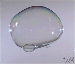 BB being shot through a bubble. Soothing Images, Oddly Satisfying Videos, Oddly Satisfying, Moving Image, Satisfying Video, Blow Your Mind, Tumbling, Mind Blown, Animated Gif