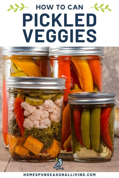 Learn how to make and can your own pickles from a variety of vegetables. Get our easy to follow tips and ideas for changing the flavor and more on our blog. #pickles #foodpreservation #canning Pickled Mixed Vegetables Recipes For Canning, Canned Pickled Vegetables, Canning Pickled Vegetables, Pickling Vegetables, Pickles Canning, Basic Brine, Pickled Vegetables Recipe, Preserving Vegetables, Canning Process