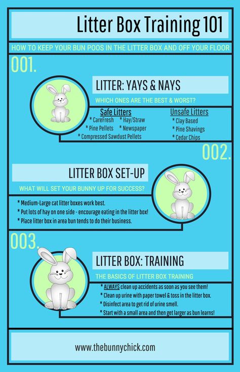 Bunny litter box training Bunny Litter, Bunny Tips, Bunny Care Tips, Bunny Litter Box, Lop Bunnies, Bunny Ideas, Holland Lop Bunnies, Pet Rabbit Care, Bunny Room