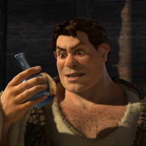 Shrek Human Form, Human Shrek, Shrek Dragon, Cartoon Princess, Human Icon, Smash Cake, Shrek, Dreamworks, Naruto Shippuden