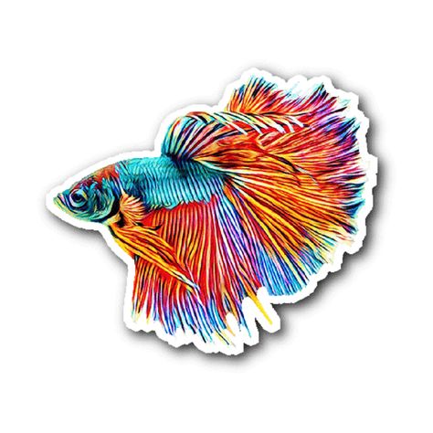 Colourful Fish, Vsco Stickers, Lighthouse Painting, Beta Fish, Line Sketch, Class Decoration, Ocean Animals, Water Temperature, Cool Stickers