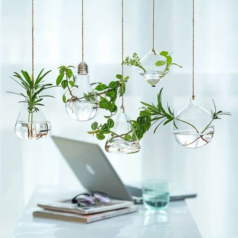 Hanging Glass Planters Terrarium Modern Propagation Stations - Temu United Kingdom Hanging Glass Planters, Hanging Terrarium, Indoor Window, Hanging Vases, Glass Planter, Grow Kit, Indoor Flowers, Flower Packaging, Glass Terrarium