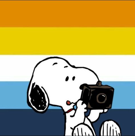 Snoopy e Charlie Brown Aroace Profile Pic, Aroace Moodboard, Aroace Characters, Aroace Aesthetic, Aroace Pfp, Lgbtq Icons, Aro Ace, Pride Stuff, Peanuts Charlie Brown Snoopy