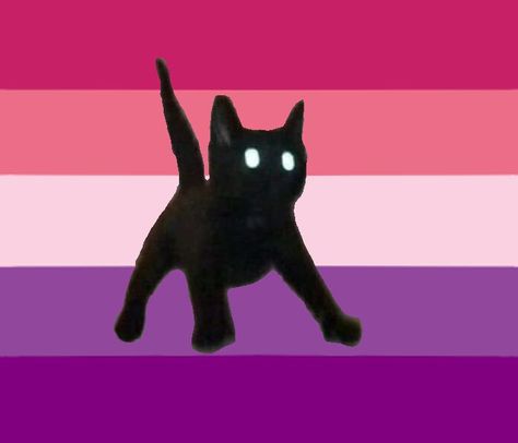 Asexual Humor, A Profile Picture, Lgbtq Funny, Cat Pfp, Asexual Pride, Taste The Rainbow, Pride Parade, Black Labrador, Lgbt Pride