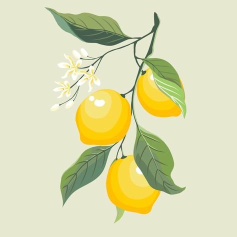 Lemon Branch Drawing, Lemon Drawing, Branch Drawing, Printable Wall Collage, Artwork Inspiration, Yellow Lime, Leaf Drawing, Small White Flowers, Big Leaves