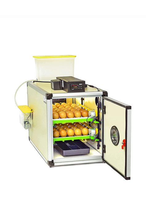 Hatching Time CT60 SH Full Automatic Egg Incubator - Setter & Hatcher In this combined (SH) model you can set and hatch eggs. This highly insulated cabinet incubator offers a fully automated incubation experience with adjustable automatic egg turners and humidity / temperature sensors to encourage higher hatching rates and lower electrical bills. Chicken Eggs Hatching, Mother Bird, Egg Incubator, Duck Eggs, Backyard Flocks, Parrot Cage, Hatching Eggs, Quail Eggs, Chicken Eggs