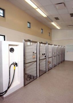 Kennels Animal Hospital Design, Dog Daycare Design, Kennel Business, Veterinary Design, Dog Daycare Business, Custom Dog Kennel, Dog Boarding Facility, Dog Boarding Kennels, Outdoor Dog Kennel