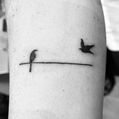 Bird on a wire tattoo (day 1) Birds Wire Tattoo, Two Birds On A Wire Tattoo, Bird On A Wire Tattoo, Birds On A Wire Tattoo, Braille Tattoo, Two Birds On A Wire, Tattoo Birds, Wire Tattoo, Cupid Tattoo