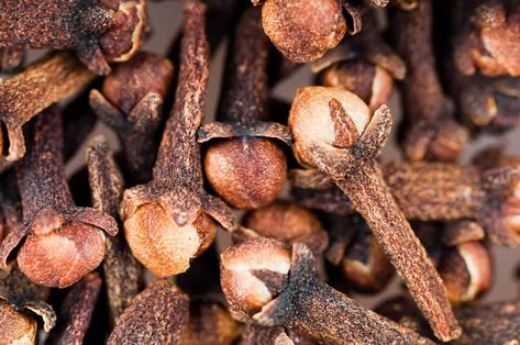 How To Use Cloves To Keep Mice Away (And Why They Work) - Pest Pointers Dried Cloves, How To Deter Mice, Mice Infestation, Mice Repellent, Getting Rid Of Mice, Pine Essential Oil, Natural Repellent, Clove Bud, Clove Oil