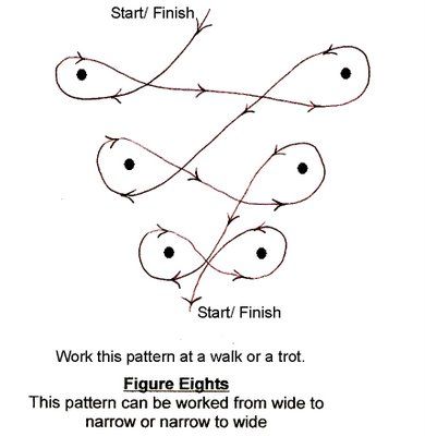 This exercise is a simple yet effective way of creating bend and even circles. it's very easy to set up and pack away, all you need is 6 cones or markers of some kind! Barrel Racing Exercises, Barrel Racing Training, Barrel Racing Tips, Horse Training Exercises, Horse Lessons, Horse Exercises, Horse Riding Tips, Horse Games, Barrel Racing Horses