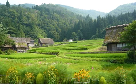 田舎 | Countryside of Japan. Taken 2 years ago | hmxxyy | Flickr Countryside House Aesthetic, Japan Countryside Aesthetic, Japan Village, Japan Countryside, Japan Film, Rural Japan, Countryside Aesthetic, Japanese Countryside, Japanese Village