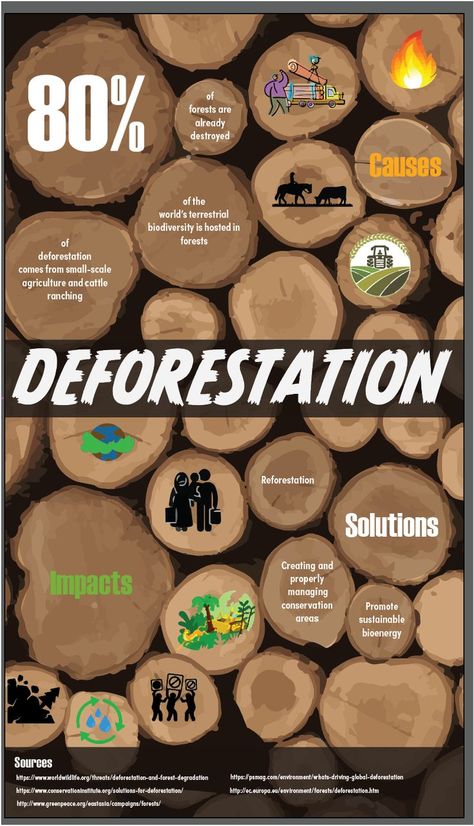 Deforestation Infographic, Graphic Design Infographic, Cattle Ranching, General Knowledge Facts, Energy Sources, Agriculture