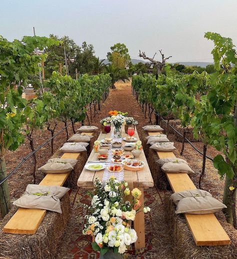 Watering Tomatoes, Glass Restaurant, Outdoor Dinner Parties, Picnic Decorations, Wine Event, Dinner Restaurants, Green Veggies, Puglia Italy, Mediterranean Cuisine