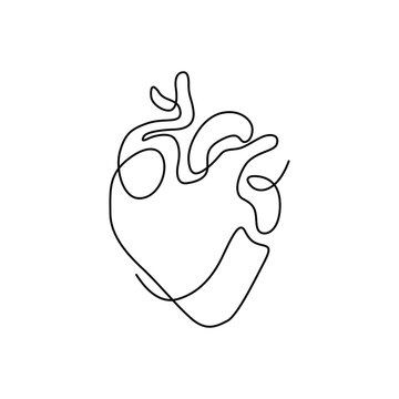 Simple Love Heart Tattoo, One Line Faces Drawing, One Line Anatomical Heart, Continuous Line Heart Tattoo, Anatomical Heart Line Art, One Continuous Line Tattoo, Heart Lines Tattoo, Word Heart Tattoo, Fine Line Face Drawing