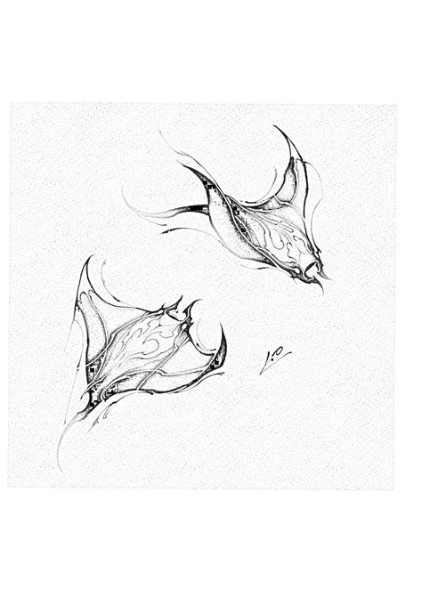 Birds Tatoos Flying, Sting Ray Tattoo Design, Sting Ray Drawings, Sting Ray Art, Sting Ray Tattoo, Hai Tattoo, Sting Rays, Line Drawing Tattoos, Ray Tattoo