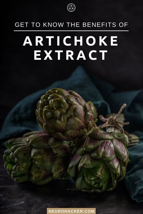 Artichoke Benefits, Easy Grilled Shrimp Recipes, Easy Taco Salad Recipe, Weight Log, Log Journal, Artichoke Extract, Brain Boosting Foods, Cooking The Perfect Steak, Brain Supplements