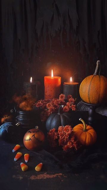 Samhain Greetings, Samhain Wallpaper, Samhain Art, Happy Samhain, Samhain Traditions, Pagan Practices, Pagan Holidays, Traditional Color Palette, Origin Of Halloween