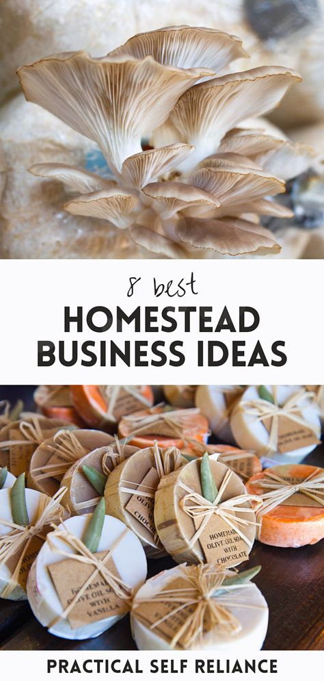 8 Homestead Business Ideas: Homestead Business Ideas Homestead Business, Dream Homestead, Homestead Life, Cloud Craft, Best Business Ideas, Pattern Skirt, Local Farmers Market, Goat Farming, Chocolate Bomb