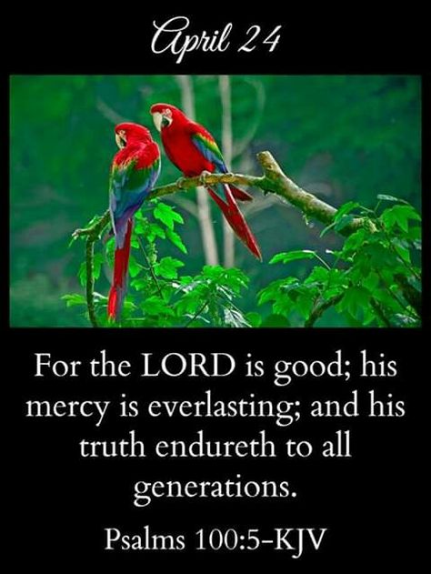 April 24 Blessings, April 24 Bible Verse, Psalms 100 5, John 15:7 Kjv, December Scriptures, 1 John 2:15-17 Kjv, John 14:6 Kjv, John 11:25-26 Kjv, Sunday Morning Quotes