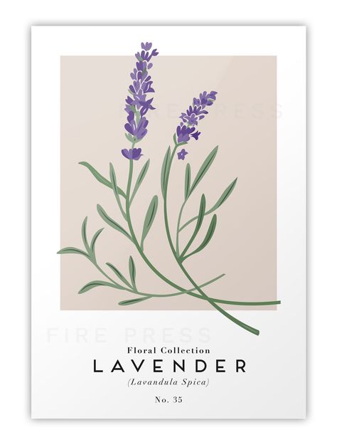 Modern minimalist Lavender botanical poster influenced by exhibition art - No. 035. Flower Drawing Wall Art, Lavender Poster Aesthetic, Lavender Aesthetic Drawing, Room Decor Posters Free Printables, Aesthetic Poster For Room, Aesthetic Poster Ideas, Lavender Room Aesthetic, Poster Prints Minimalist, Lavender Minimalist