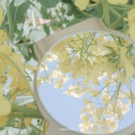 Light Acadamia, Green Pictures, Vintage Flowers Wallpaper, Light Blue Aesthetic, Iphone Wallpaper Kawaii, Nothing But Flowers, Chinese Art Girl, Phone Wallpaper Design, Book Design Layout