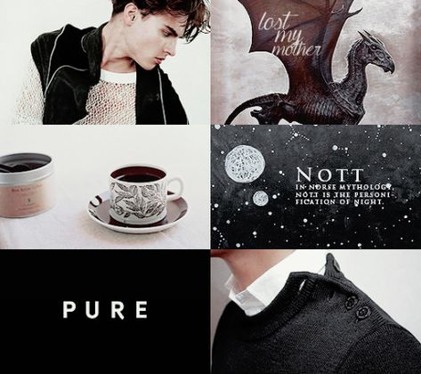 Theo Nott aesthetic Nott Aesthetic, Slytherin Room, Theo Nott, Theodore Nott, Maxon Schreave, Pansy Parkinson, Slytherin Pride, Harry Potter Ships, Hogwarts Aesthetic