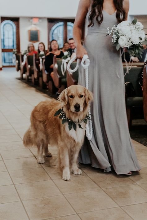 Ways To Involve Dog In Wedding, Wedding Cake Golden Retriever, Dog Wedding Ideas Ceremony, Dogs Incorporated Into Wedding, Dogs In Weddings Ideas, Dogs In Weddings Ceremony, Incorporating Dogs In Wedding, Dogs At Weddings Ideas, Dogs At Wedding