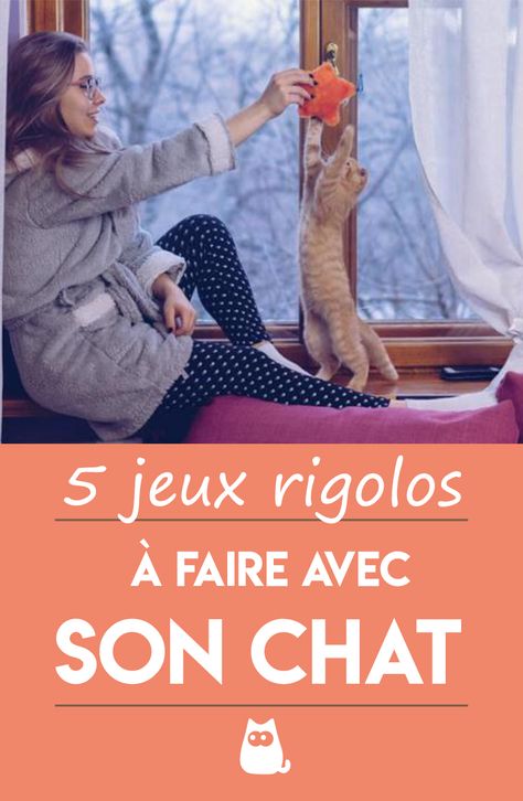 Qu'est-ce qu'il y a de plus satisfaisant que de jouer avec son chat ? Saviez-vous que le jouer avec son chat lui permet de rester en bonne santé et de se dépenser ? Découvrez 5 jeux à faire avec son chat ! #chat #chatjeu #chatjeudiy #chatjeuxmaison #joueravecsonchat #jouerchat #jouerpourchat #jouetpourchat #commentjoueravecsonchat #jeuxpourchat #jouetchat #diyjouetpourchat Diy Jouet Pour Chat, Chat Diy, All Types Of Cats, Maine Coon, Animal Kingdom, Funny Cats, Maine, Best Friends, France