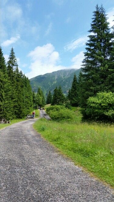 Krkonose Mountains, Czech Republic Conservation Biology, Country Roads Take Me Home, Beautiful Mountains, Country Road, Eastern Europe, Slovakia, Scenic Views, Prague, Czech Republic