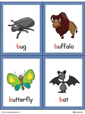 **FREE** Letter B Words and Pictures Printable Cards: Bug, Buffalo, Butterfly, Bat (Color) Worksheet.The Letter B Words and Pictures Printable Cards can be used for flashcards, various games, and help your student associate unfamiliar words with a picture. Colorful picture cards for the words: bug, buffalo, butterfly, and bat. Alphabet Word Wall Cards, Alphabet Word Wall, Alphabet Letters Images, Letter B Worksheets, B Words, Alphabet Pictures, Alphabet Phonics, Word Wall Cards, Picture Letters