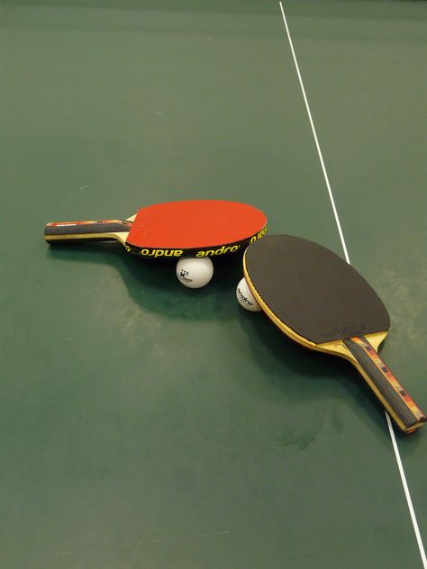 Pet Alligator, Best Ping Pong Table, Tennis Wallpaper, Table Tennis Equipment, Table Tennis Bats, Vehicle Illustration, Fitness Studio Training, Ping Pong Tables, Tennis Aesthetic