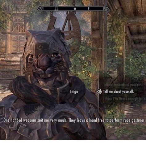 Skyrim Followers, Skyrim Funny, Scrolls Game, Elder Scrolls Skyrim, Bioshock, Gamer Life, Gaming Memes, Elder Scrolls, Skyrim