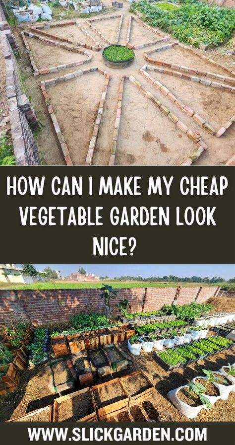 "Transform your vegetable garden into a low-cost haven of beauty! 🌼 Discover tips and tricks for creating an aesthetically pleasing space without the hefty price tag. Let's cultivate on a budget! #VegetableGardenMakeover #BudgetBeauty" Diy Veg Garden, Diy Garden On A Budget, Basic Vegetable Garden, Cheap Garden Diy, Diy Raised Beds Garden Cheap, Easy Beginner Vegetable Garden, Diy Allotment Ideas, Creative Vegetable Garden Ideas, Rustic Vegetable Garden