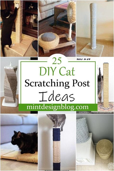 Cat Scratching Post Ideas, Cat Scratcher Diy, Dog Harness Tutorial, Diy Dog Wheelchair, Diy Cat Shelves, Diy Cat Scratching Post, Diy Cat Scratcher, Diy Cat Hammock, Cat Scratcher Post