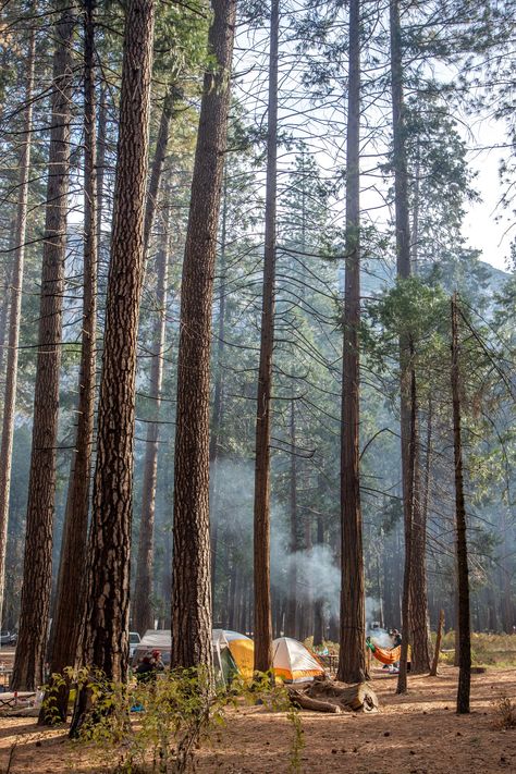 Yosemite National Park Camping, Camping Inspo, Tuolumne Meadows, Yosemite Camping, Merced River, Best Campgrounds, Bear Spray, Temperate Rainforest, Camping Guide