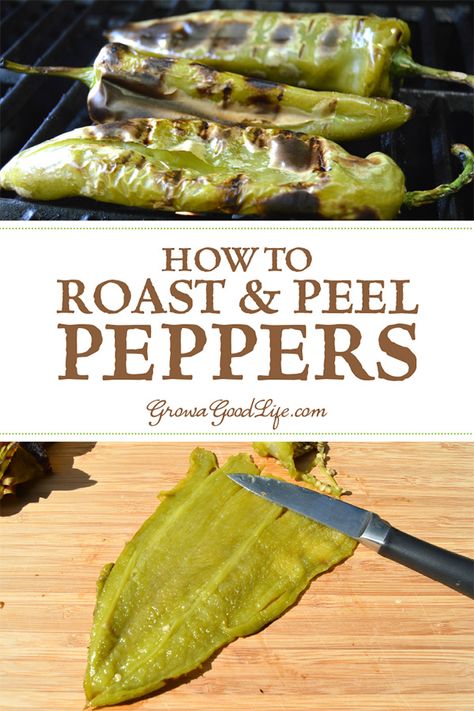 Roasting Chili Peppers In Oven, How To Roast Anaheim Peppers, Roasted Hatch Peppers, Roasted Green Chiles, Roasting Anaheim Peppers In The Oven, Roasted Anaheim Peppers, Roasted Chili Peppers Recipes, Roasted Anaheim Pepper Recipes, Recipes For Anaheim Peppers