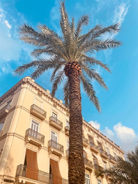 🌴✨ #travel #spain #summer #aesthetic #city #europe #beach #coastal Spanish Beach Aesthetic, Spain Summer Aesthetic, Summer Aesthetic City, Spain Pictures, Spanish Beach, Europe Beach, City Europe, Spain Summer, Spain Aesthetic