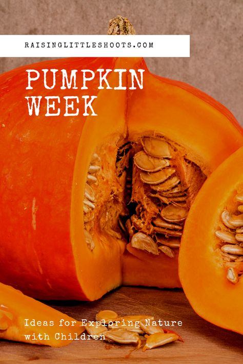 Pumpkin Benefits, Draw A Pumpkin, Pumpkin Seeds Benefits, Fall Deserts, Carving Templates, Seeds Benefits, Pumpkin Activities, Exploring Nature, Super Food