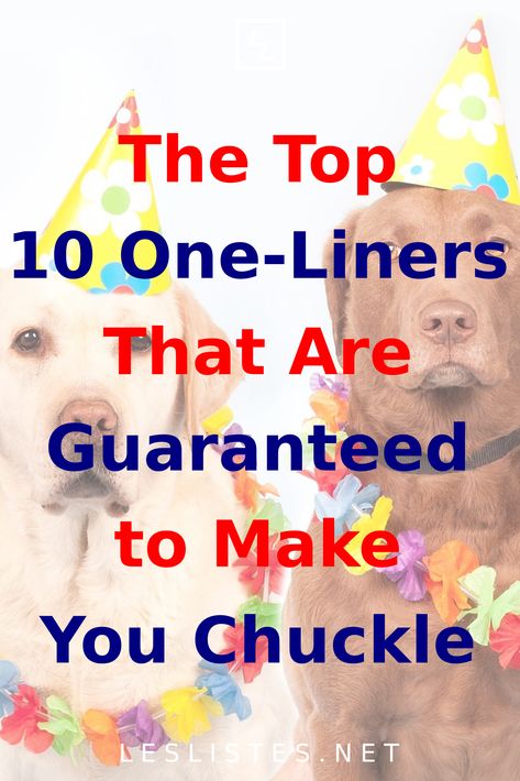 Sometimes, a simple one-liner is all it takes to bring a smile to our faces. The top 10 one-liners will make you laugh. Jokes One Liner, One Liner Jokes Hilarious, Hilarious One Liners, One Line Jokes, Epic One Liners, Sarcastic One Liners, One Liner Jokes, One Liners, Funny One Liners