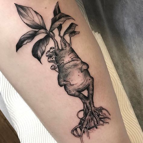 Ent Tattoo, Mandrake Tattoo, Shrunken Head Tattoo, Harry Potter Tattoo Unique, Harry Potter Tattoo Sleeve, Eternal Tattoo, Melbourne Tattoo, Tasteful Tattoos, Harry Potter Tattoos