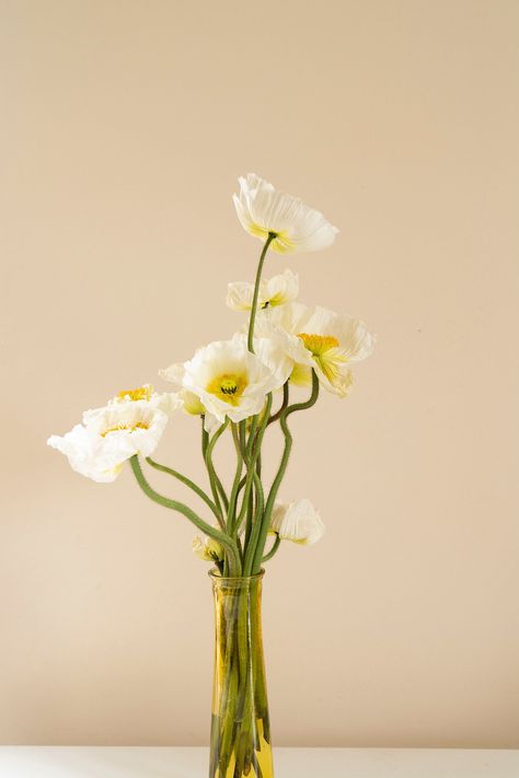 White Poppy, Vase, Van, Yellow, Flowers, Wall, White